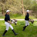 Konik na kiju z kantarem - Hobby Horse Skippi - Karmel - A3 - prezent