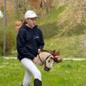 Konik na kiju z kantarem - Hobby Horse Skippi - Karmel - A3 - prezent