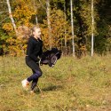 Zestaw Skippi - Hobby Horse Gniady - Derka i nauszniki - wrzos i śliwka